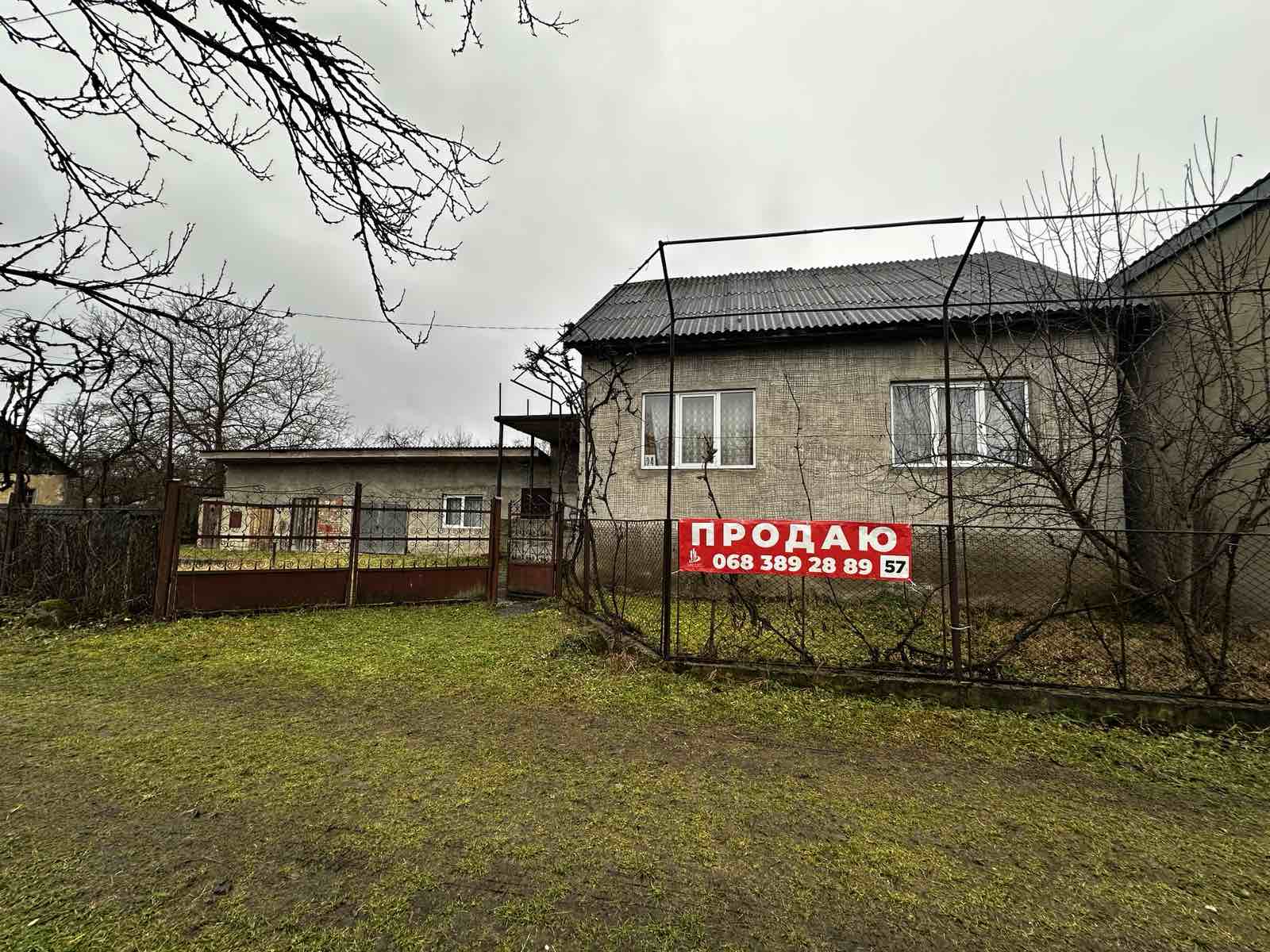зображення_viber_2025-01-10_17-37-19-298