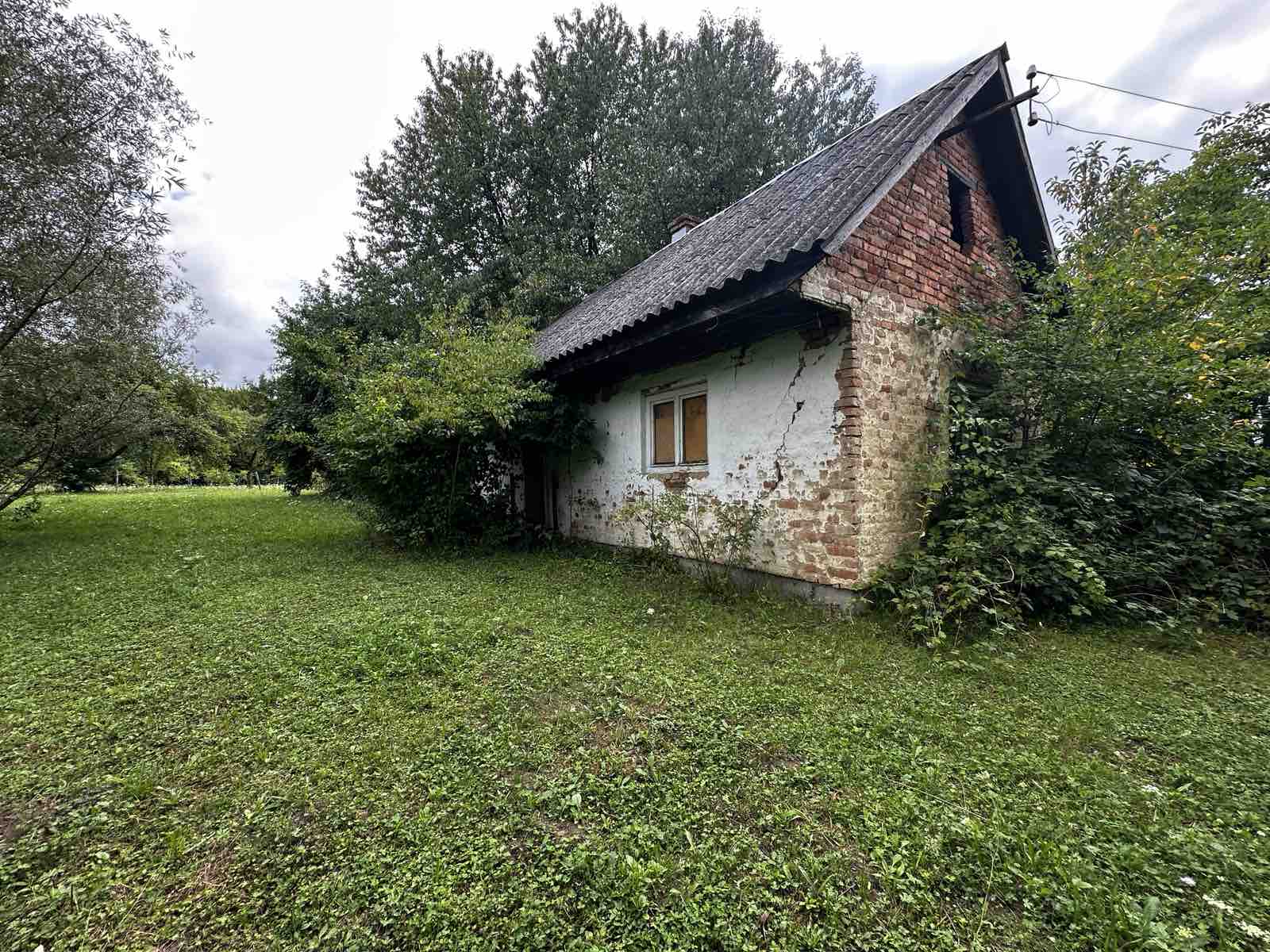 зображення_viber_2025-08-05_19-40-58-842